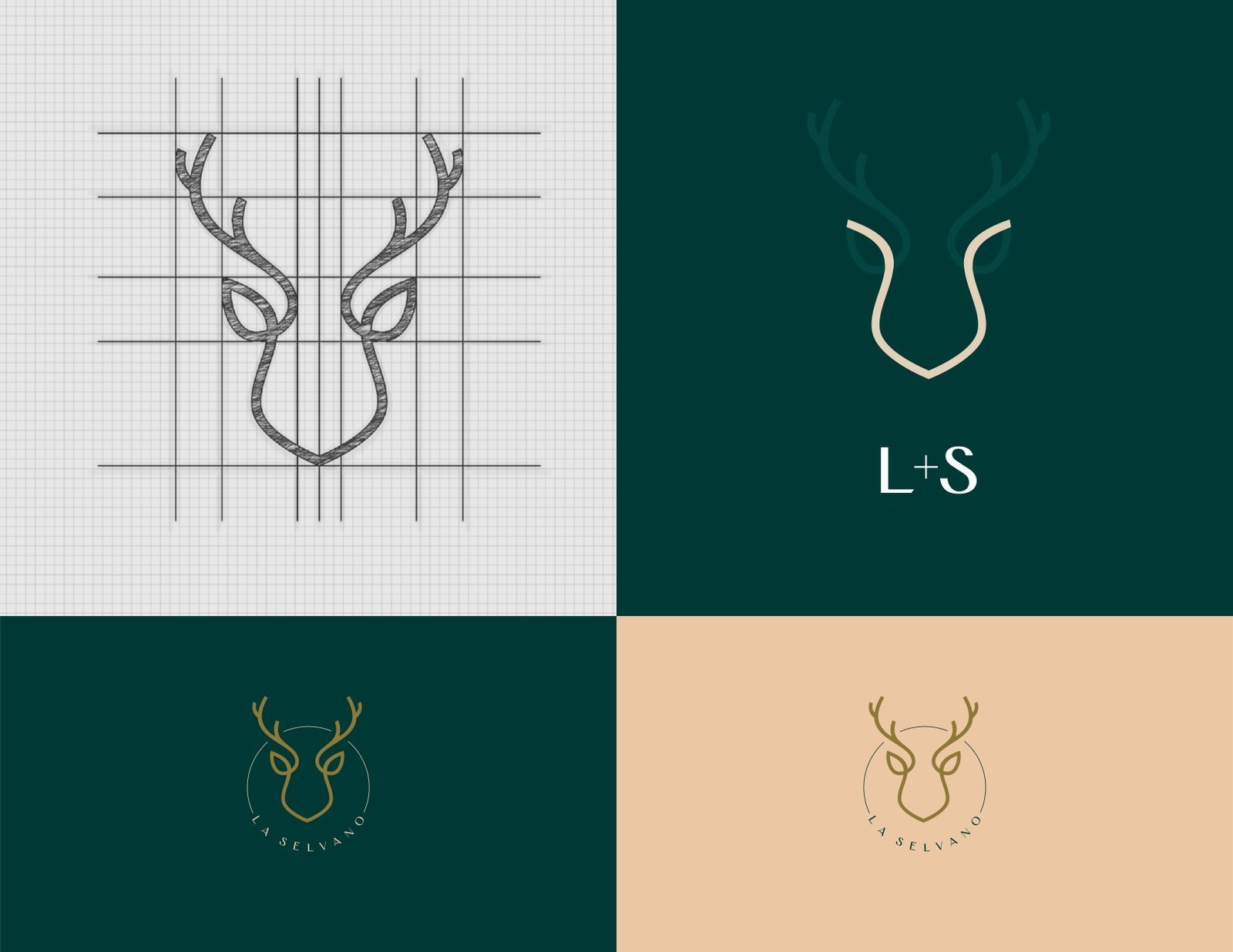 Logo Design & Brand Identity